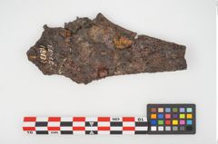 Foto von Bimetallgürtelhaken (NHMW-PRAE-025710)